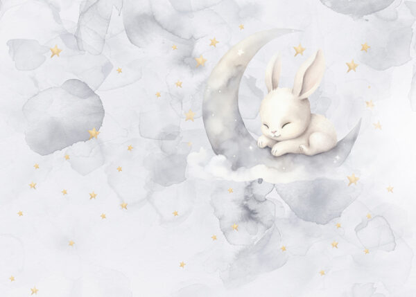 Un conejo en la luna Un conejo en la luna