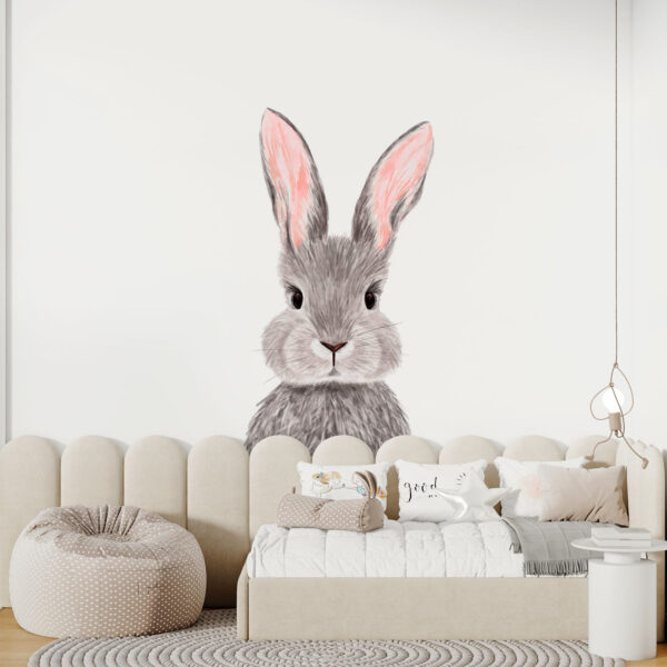 Adorable conejo de suave pelaje. Adorable conejo de suave pelaje.