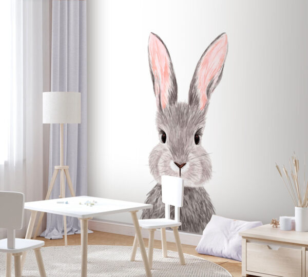 Adorable conejo de suave pelaje. Adorable conejo de suave pelaje.