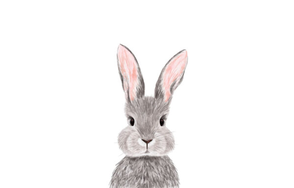 Adorable conejo de suave pelaje. Adorable conejo de suave pelaje.