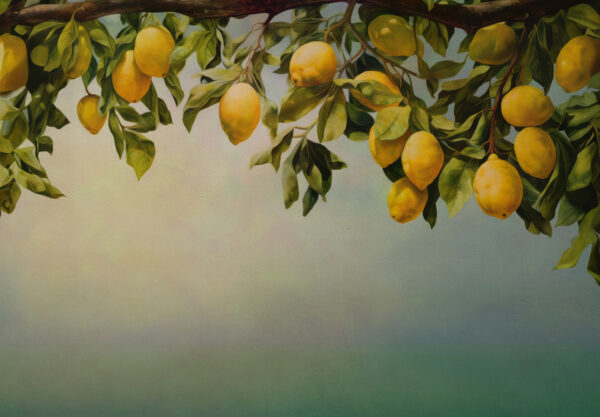 Un cuadro de limones en la rama de un árbol Un cuadro de limones en la rama de un árbol