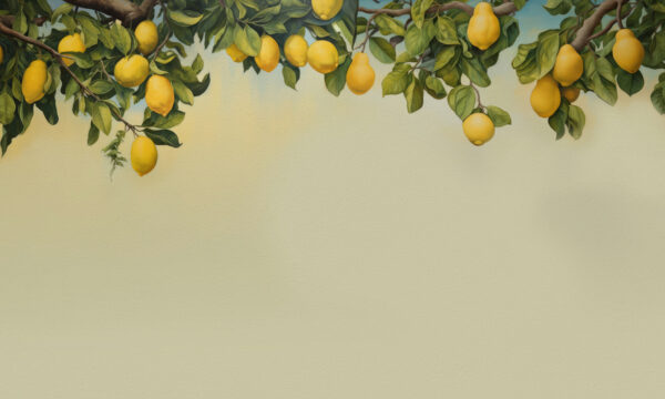 Un limón en la rama de un árbol Un limón en la rama de un árbol