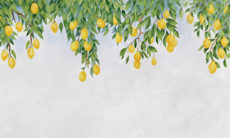 Limones de un árbol