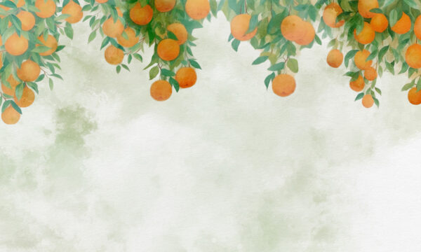 Naranjas en la rama de un árbol Naranjas en la rama de un árbol