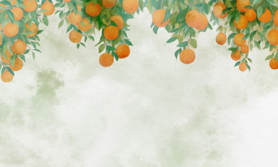 Naranjas en la rama de un árbol