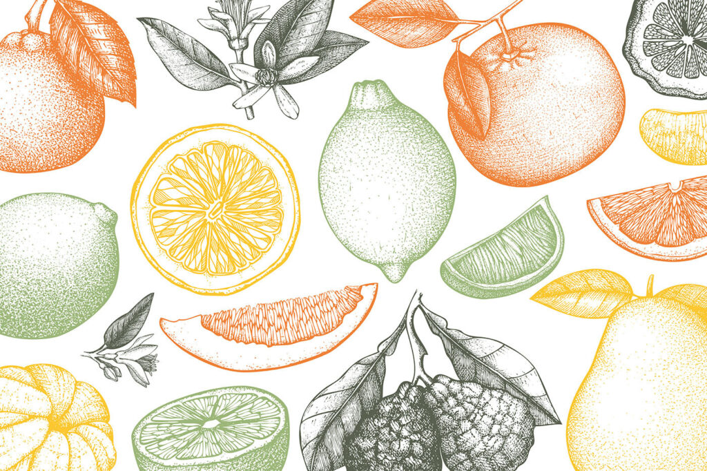 Un patrón de frutas diferentes Un patrón de frutas diferentes
