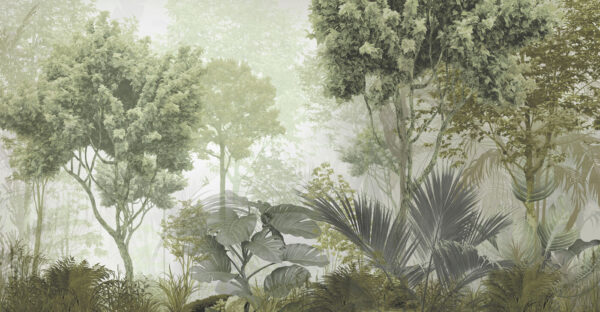 Un grupo de árboles y plantas en un bosque con niebla Un grupo de árboles y plantas en un bosque con niebla