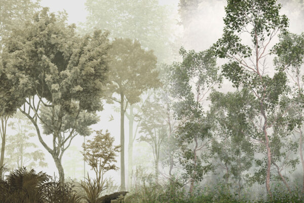 Un grupo de árboles en un bosque con niebla Un grupo de árboles en un bosque con niebla