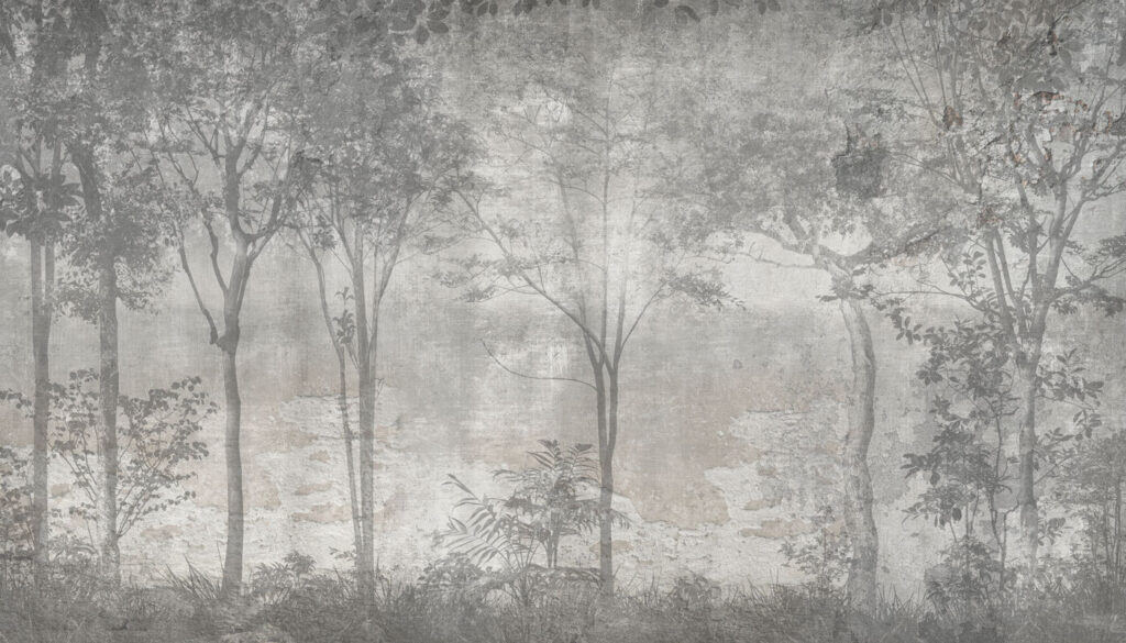 Una foto de árboles en blanco y gris Una foto de árboles en blanco y gris