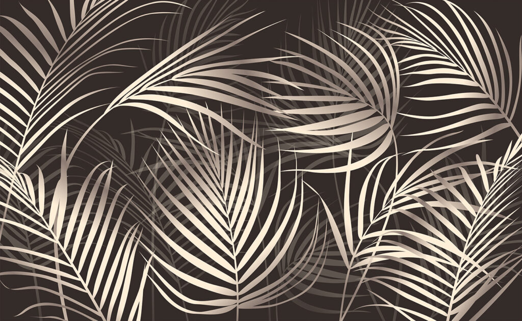 Elegantes hojas de palmera sobre un fondo oscuro Elegantes hojas de palmera sobre un fondo oscuro