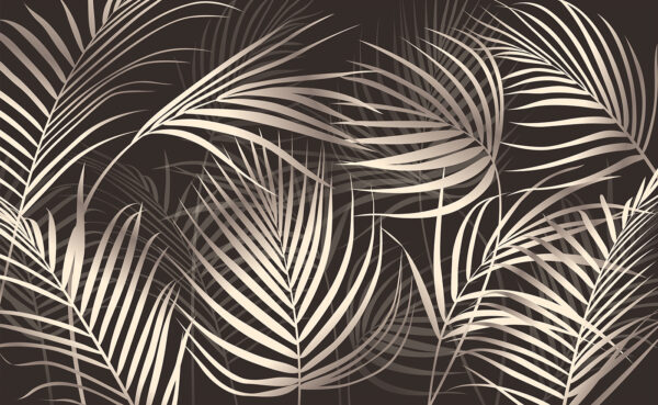 Elegantes hojas de palmera sobre un fondo oscuro Elegantes hojas de palmera sobre un fondo oscuro