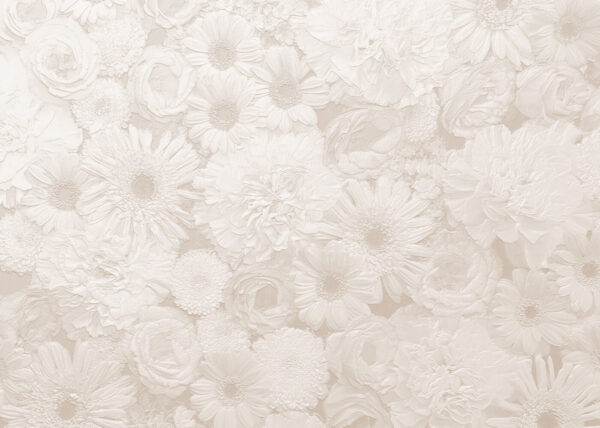 Estampado de flores blancas Estampado de flores blancas