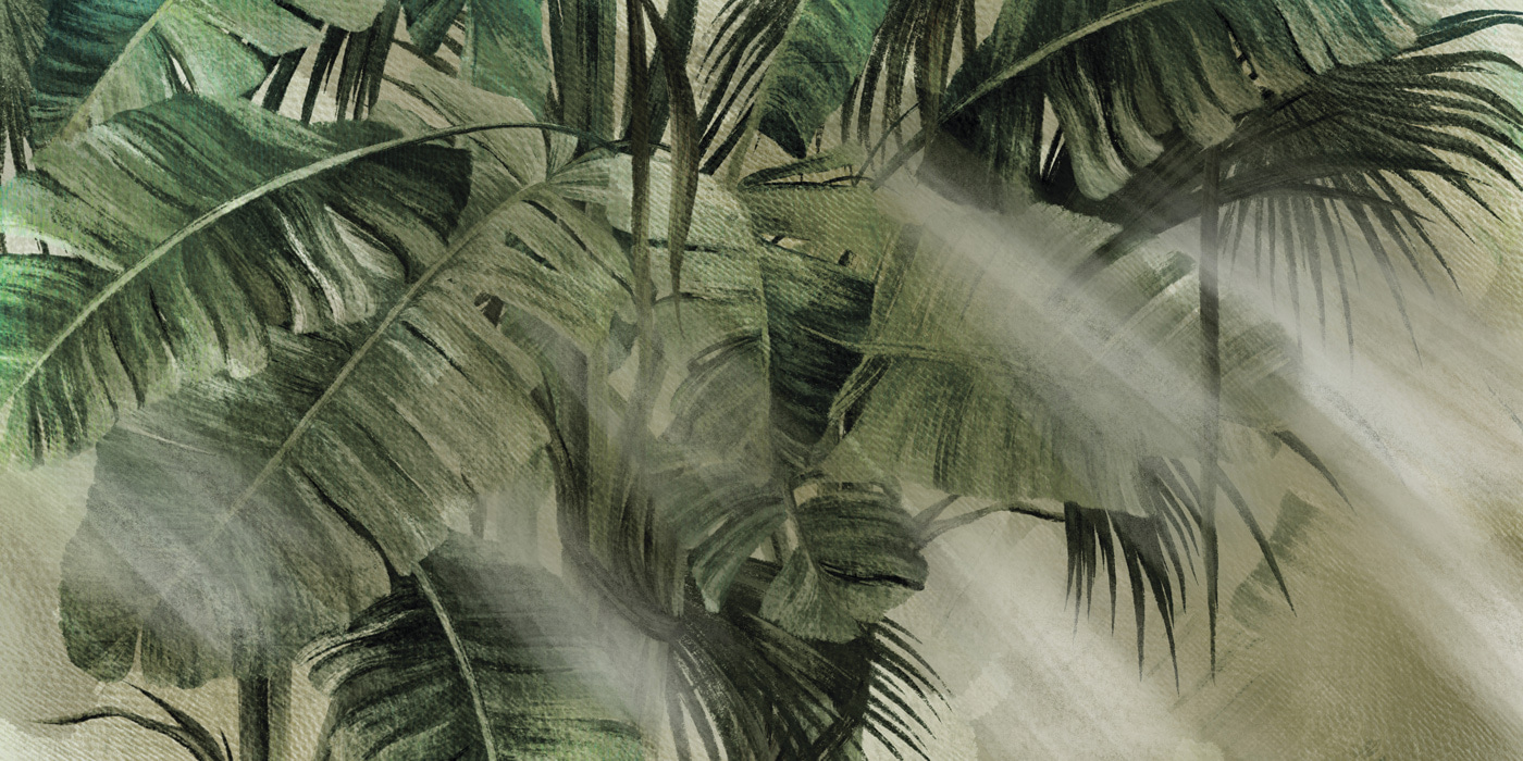 Lush foliage bathed in soft light