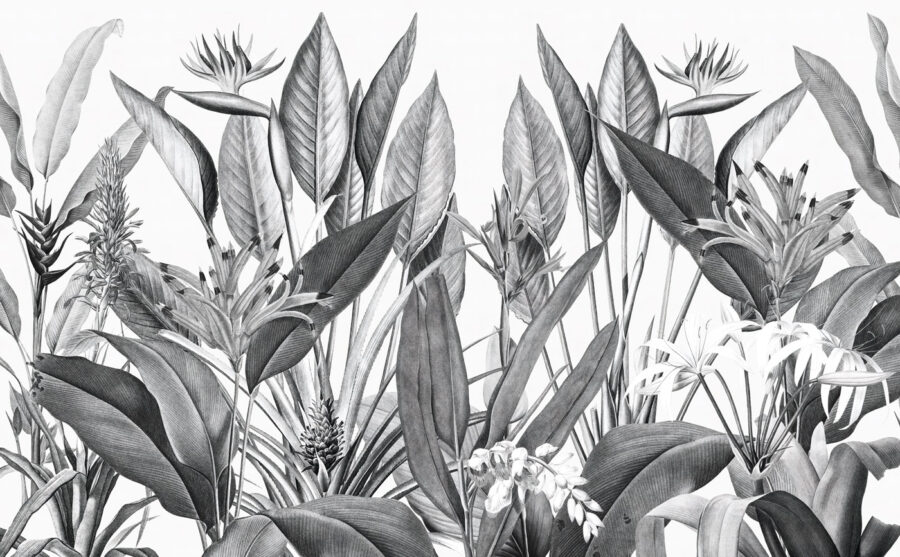 Follaje tropical en tonos monocromos. Follaje tropical en tonos monocromos.