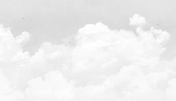 Unas nubes blancas en el cielo Unas nubes blancas en el cielo
