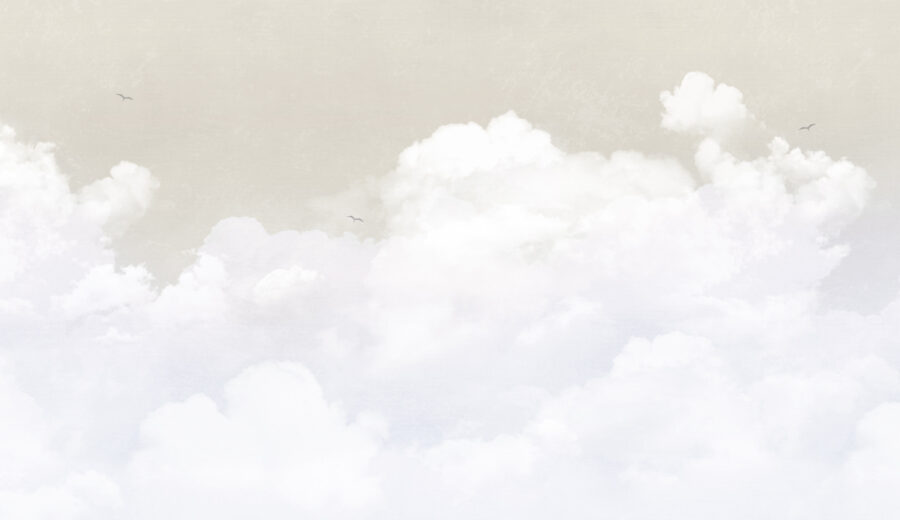 Unas nubes blancas en el cielo