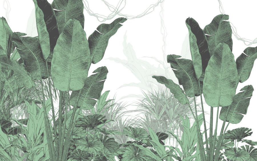 Grupo de plantas con hojas