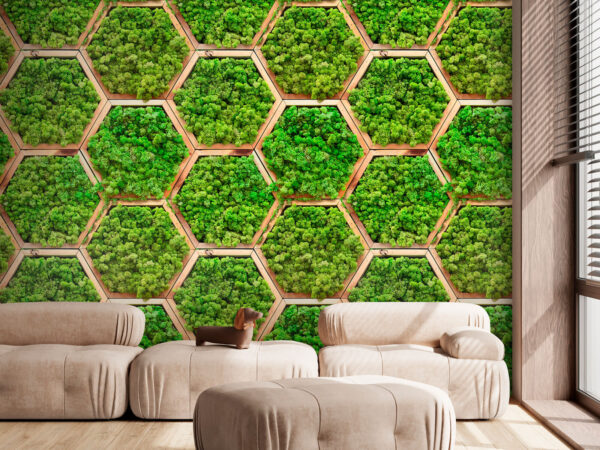 Muro de plantas en hexágonos Muro de plantas en hexágonos