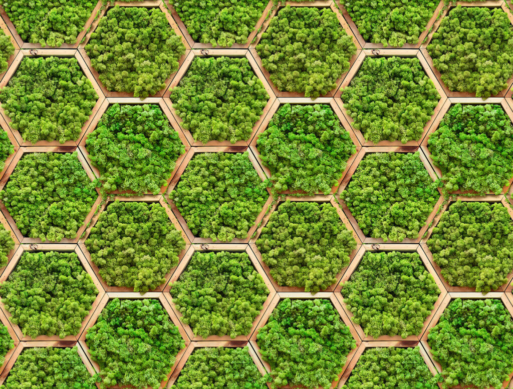 Muro de plantas en hexágonos Muro de plantas en hexágonos