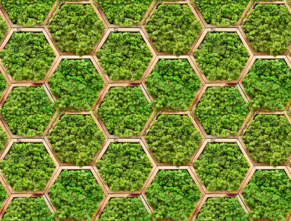 Muro de plantas en hexágonos Muro de plantas en hexágonos