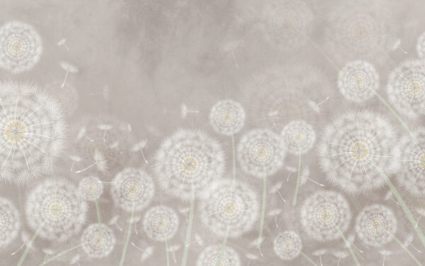 Group of dandelions