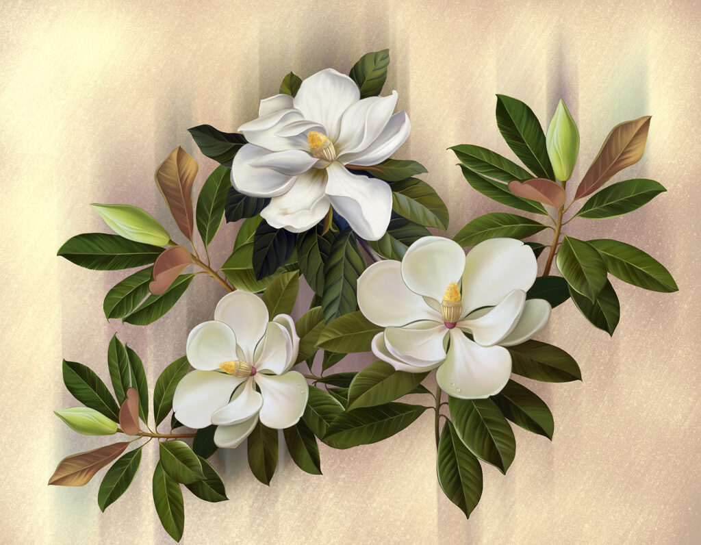 Hermosas magnolias en flor Hermosas magnolias en flor