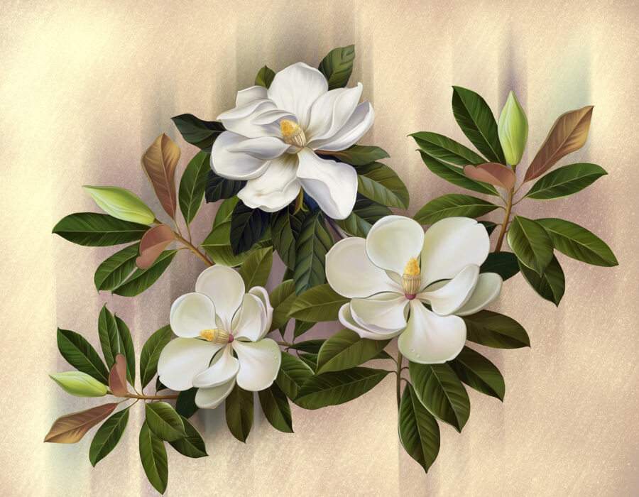 Hermosas magnolias en flor