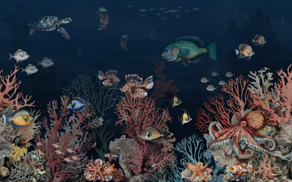 Vida marina con peces y corales u94467p 600x375 - Vida marina con peces y corales