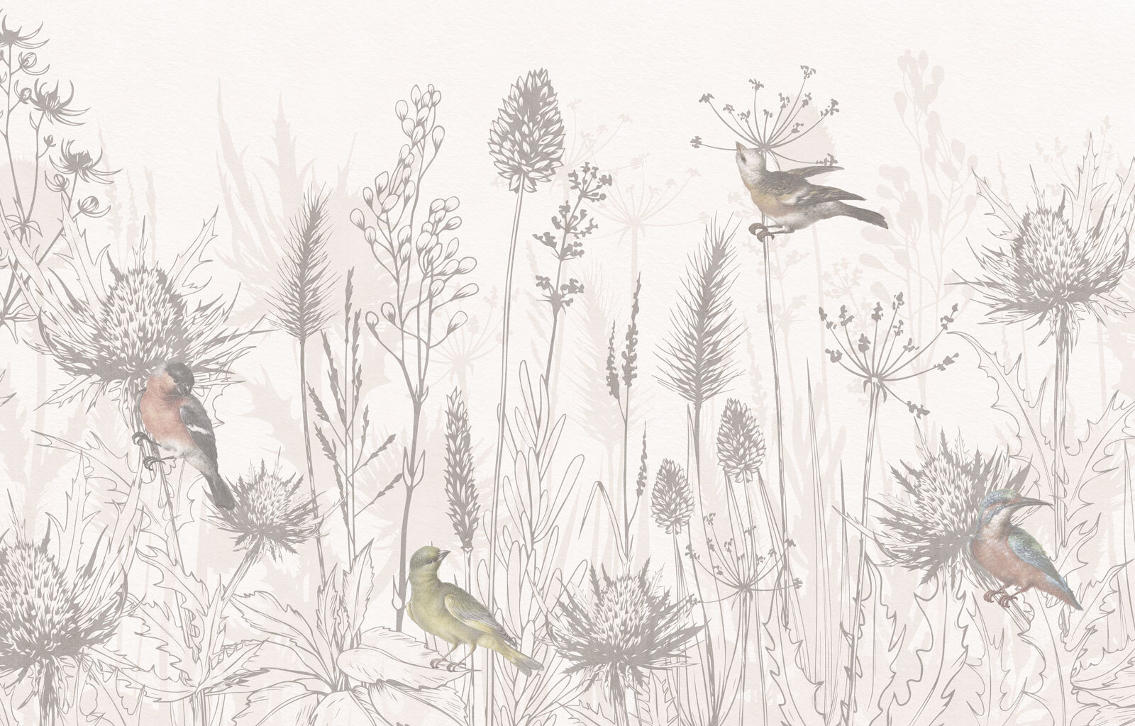 Drawing of birds and plants