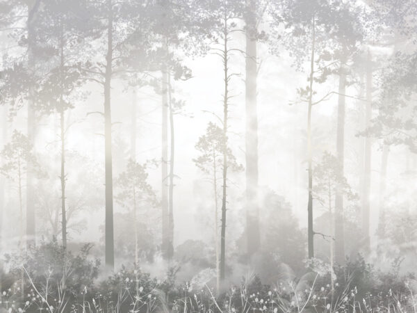 Bosque brumoso con árboles altos Bosque brumoso con árboles altos