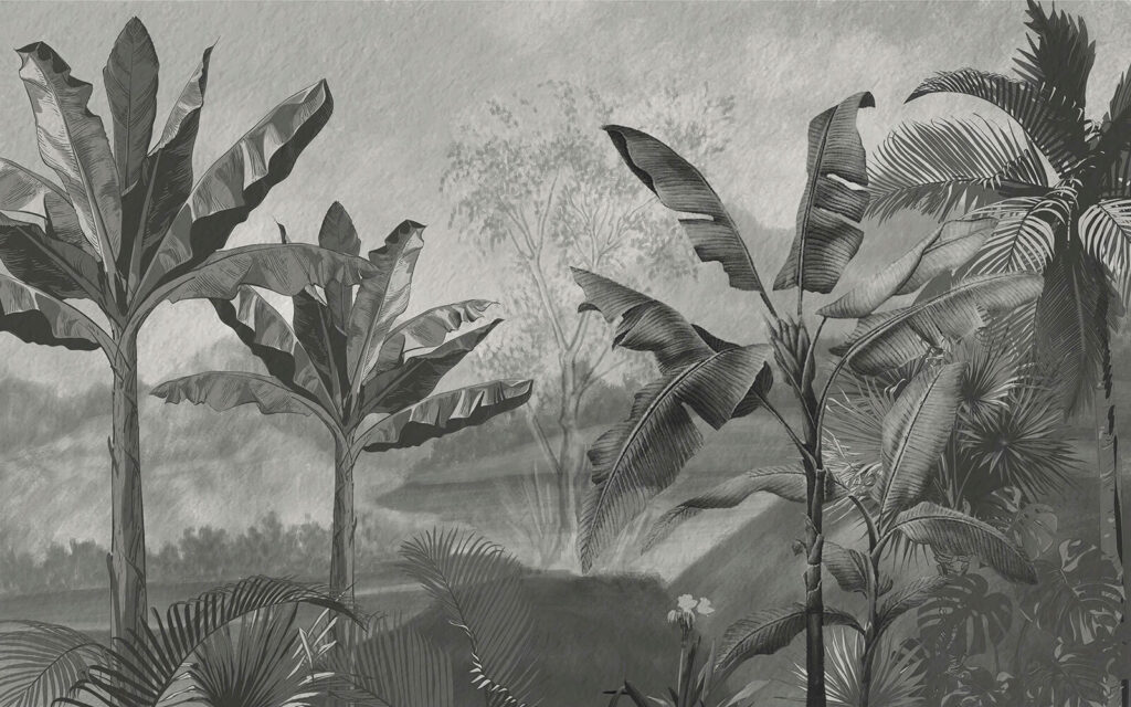 Black and white image of a tropical forest