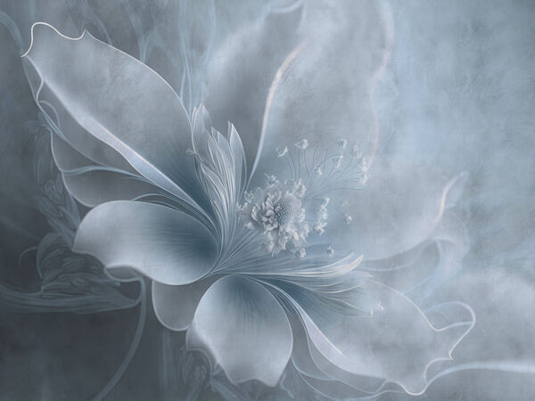 Una flor blanca con una flor encima Una flor blanca con una flor encima