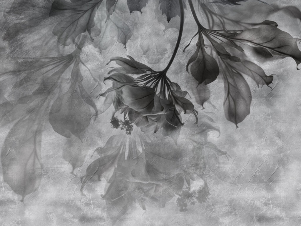 Elegantes hojas en suaves tonos monocromos Elegantes hojas en suaves tonos monocromos