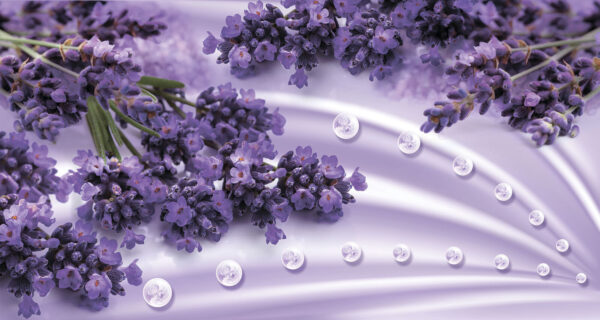 Flores de lavanda en suaves tonos lavanda Flores de lavanda en suaves tonos lavanda