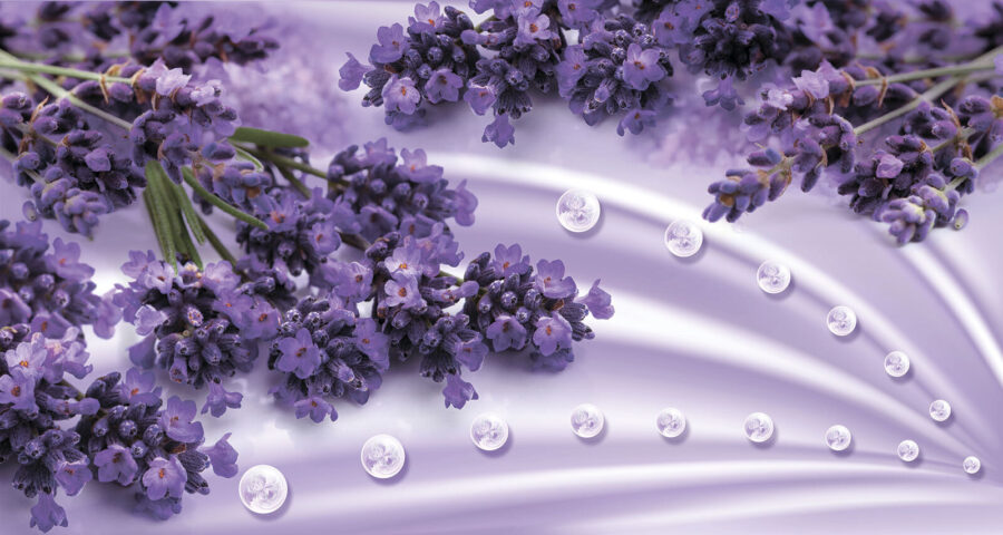 Flores de lavanda en suaves tonos lavanda