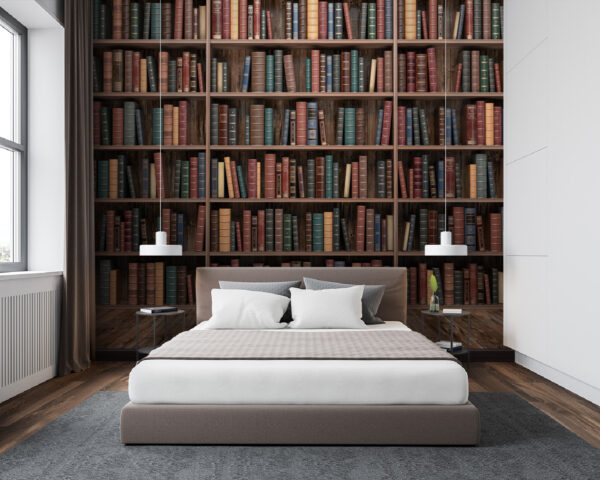 Gran estantería con muchos libros Gran estantería con muchos libros
