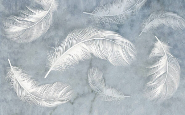 Grupo de plumas blancas Grupo de plumas blancas