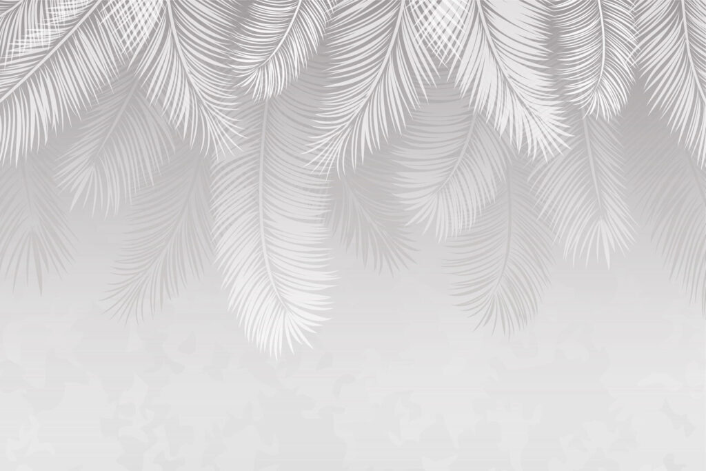 Motivo de plumas blancas sobre fondo gris Motivo de plumas blancas sobre fondo gris
