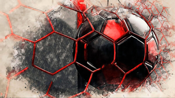 Balón de fútbol en una red Balón de fútbol en una red