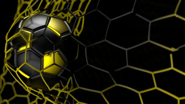 Balón de fútbol en una red Balón de fútbol en una red