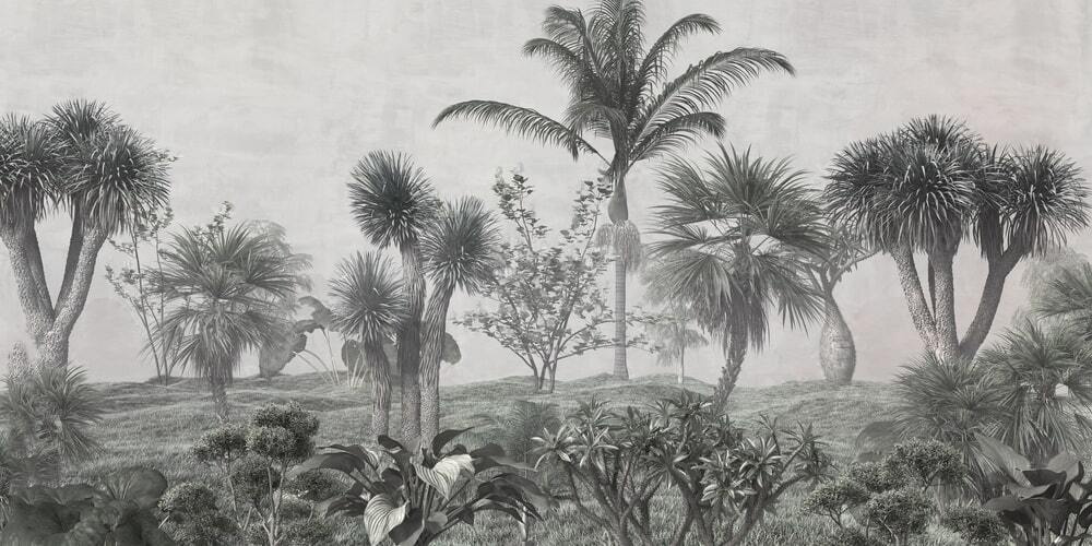 Paisaje con palmeras y arbustos Paisaje con palmeras y arbustos