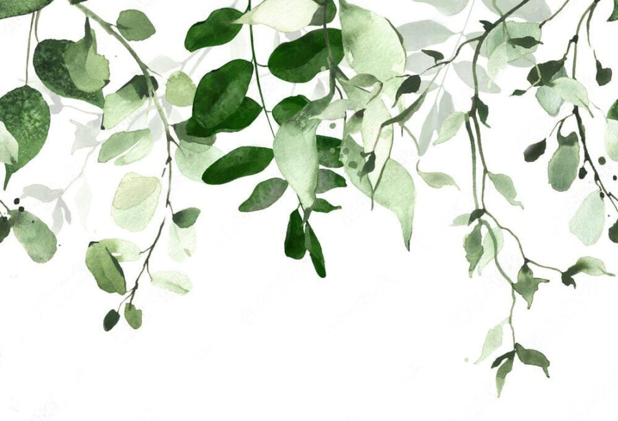 Elegante diseño de fondo de hojas verdes