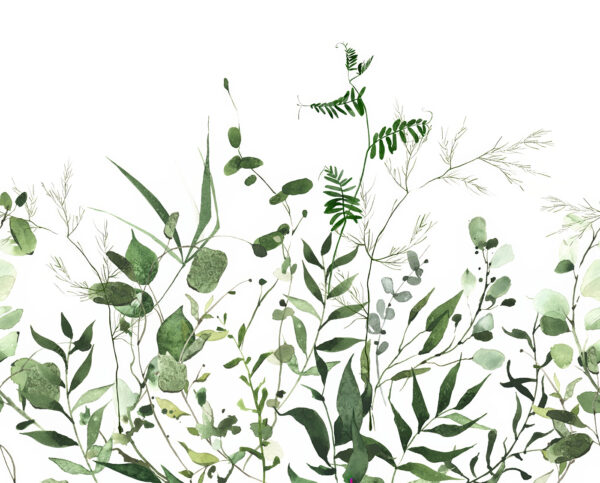 Exuberante vegetación sobre fondo blanco. Exuberante vegetación sobre fondo blanco.