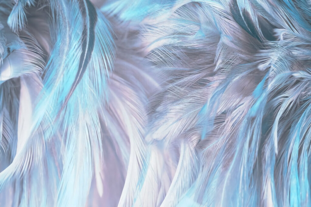 Soft pastel feathers in gentle waves