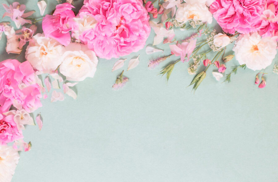 Grupo de flores rosas