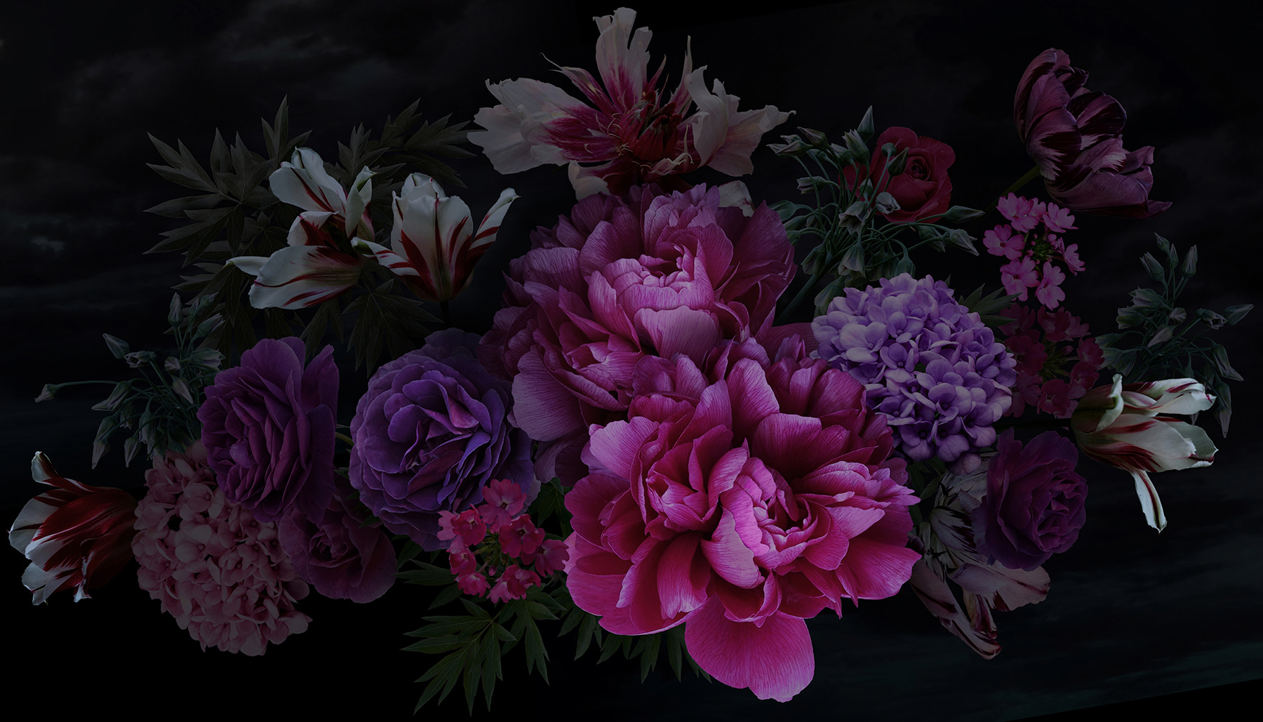 Group of flowers on a black background