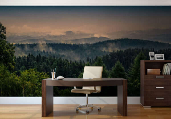 Bosque con niebla y nubes Bosque con niebla y nubes