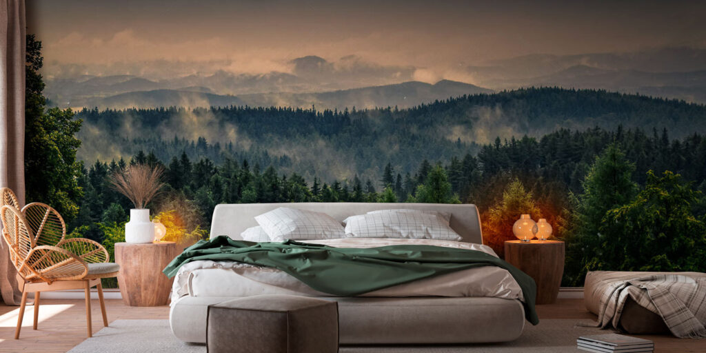 Forest with fog and clouds
