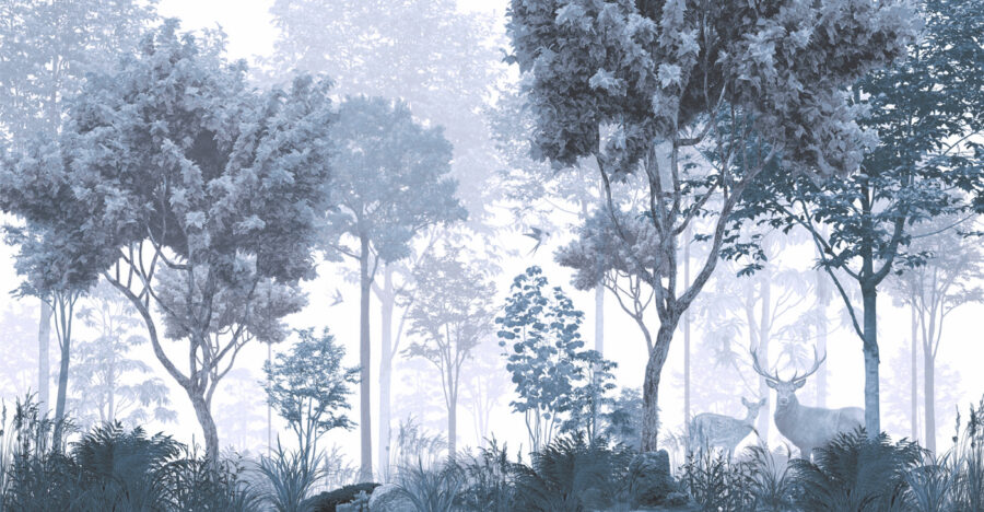 Un bosque con árboles y plantas