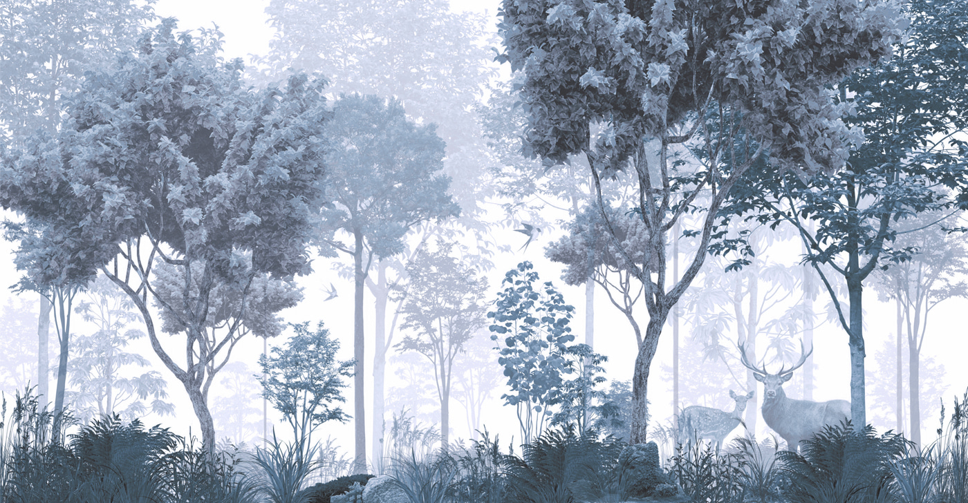 A forest with trees and plants